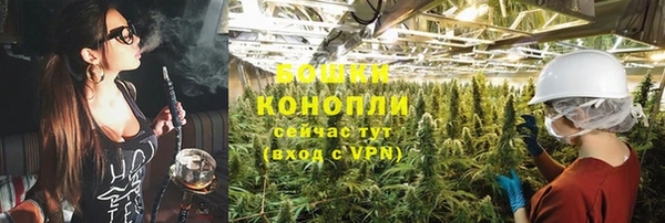 дурь Белокуриха