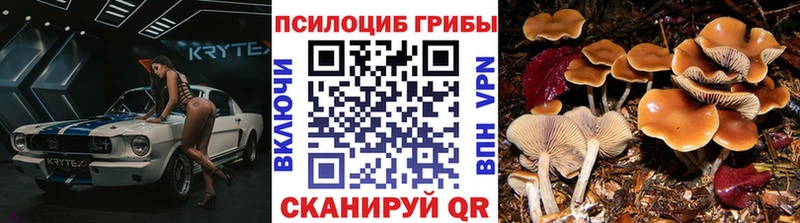 Галлюциногенные грибы мицелий  Верхотурье 